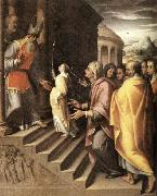 Calvaert, Denys The Presentation of Mary oil painting